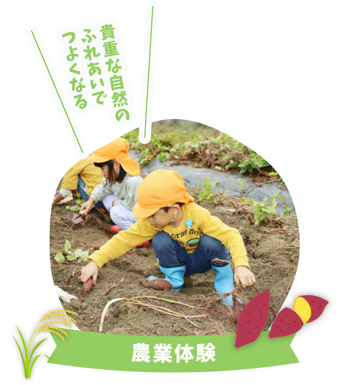 農業体験 貴重な自然のふれあいでつよくなる