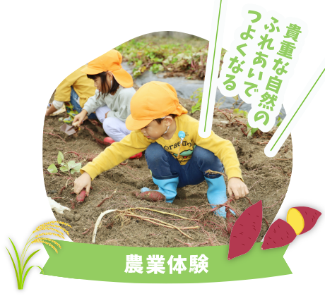 農業体験 貴重な自然のふれあいでつよくなる